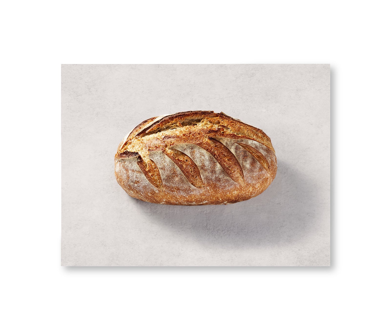 FibraMent-D Baking Stone - Thumbnail 4